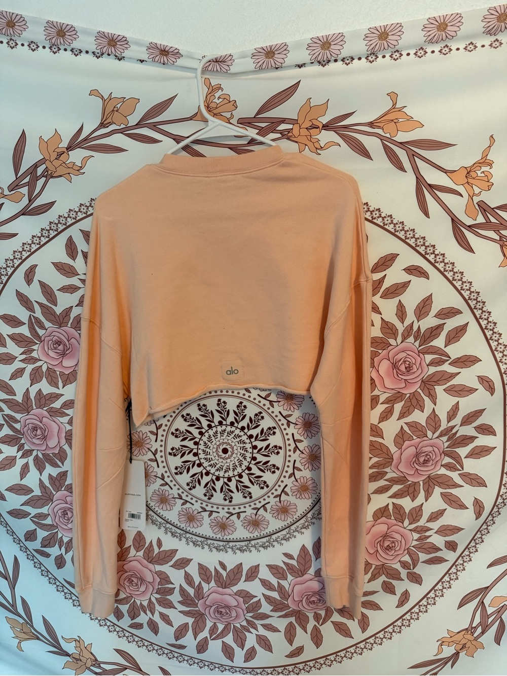 Alo Yoga Peach Cropped Sweatshirt - Women Tops - Picture 7 of 7